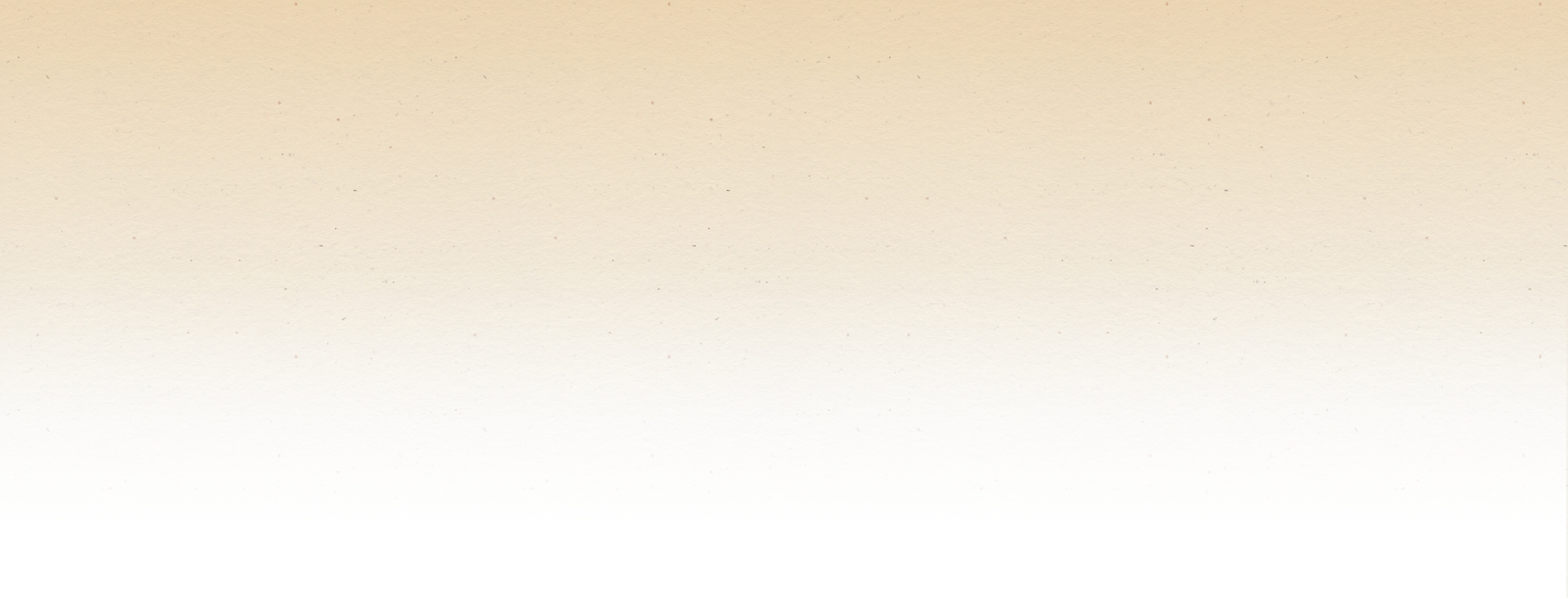 page intro bg
